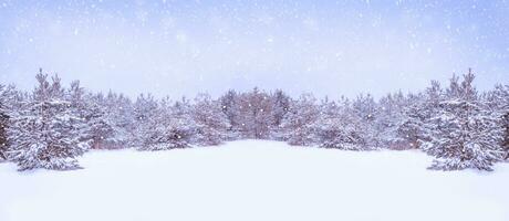 paesaggio. congelato inverno foresta con neve coperto alberi. foto