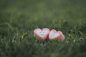 Due cuore con contento sorridente viso su giardino. San Valentino giorno, coppia, emozione, godere vita, positivo pensiero, mondo mentale Salute giorno, mondo cuore giorno, Salute assicurazione e beneficenza concetto. foto