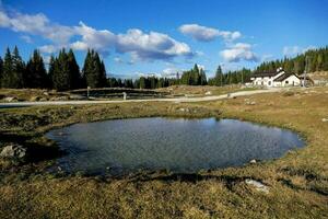 stagno nel il campo foto