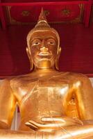 il d'oro Budda statua nel tailandese tempio, ayutthaya Provincia Tailandia foto