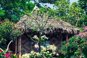 di legno bungalow ricorrere nel ko phi phi isola, Tailandia foto