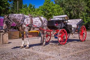 tipico trainato da cavalli carrozza nel dato di spagna quadrato, collocato nel il parque maria Luisa, Siviglia, andalusia, Spagna foto