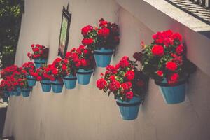 strada con fiori nel il mijas cittadina, Spagna foto