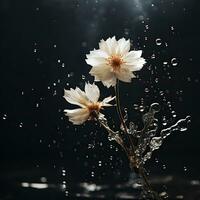 ramo con bianca fiori nel spruzzi di acqua, isolato su un' nero sfondo. generativo ai foto