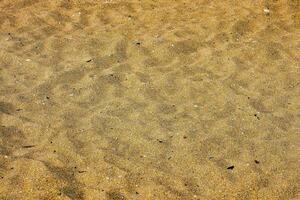 un' vicino su di sabbia su il spiaggia foto