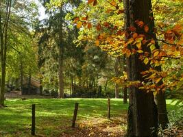 il teutoburgo foresta nel Germania foto