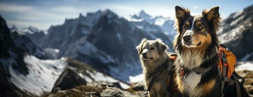 canino squadra ricerca nevoso paesaggio sfondo con vuoto spazio per testo foto