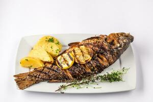 grigliato carpa pesce con rosmarino patate e Limone, vicino su foto