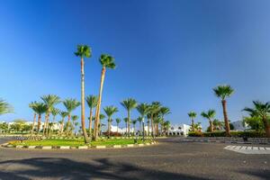 il Visualizza per strada e palma alberi vicino il alberghi foto