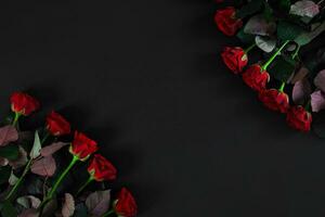 rosso Rose su un' nero sfondo. superiore Visualizza foto