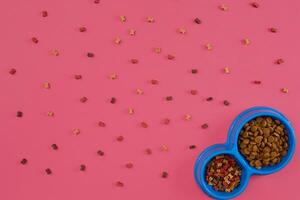 asciutto animale domestico cibo nel ciotola su rosa sfondo superiore Visualizza foto