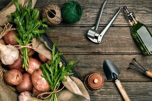 crudo patate nel un' biancheria Borsa, rucola, aglio, giardino pala e rastrello, cibo sfondo, superiore Visualizza foto