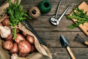 crudo patate nel un' biancheria Borsa, rucola, aglio, giardino pala e rastrello, cibo sfondo, superiore Visualizza foto