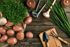 giardinaggio utensili e fresco verdure al di sopra di di legno sfondo foto