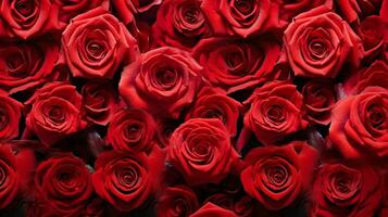 rosso Rose sfondo per decorazione. generativo ai foto