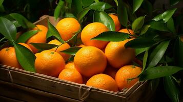 appena raccolto mandarino arancia frutta a partire dal giardino posto nel il scatole. generativo ai foto