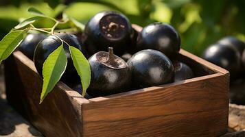 appena raccolto nero sapote frutta a partire dal giardino posto nel il scatole. generativo ai foto