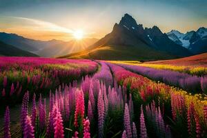 il sole sorge al di sopra di un' campo di rosa fiori e montagne. ai-generato foto