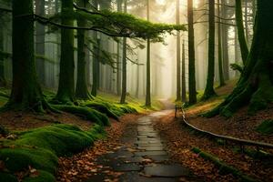 sentiero nel il foresta con muschioso alberi e luce del sole. ai-generato foto