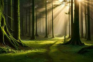 un' sentiero attraverso un' foresta con luce del sole splendente attraverso il alberi. ai-generato foto