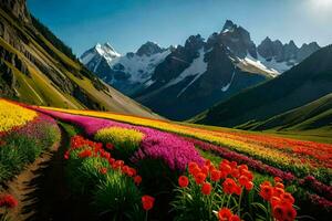 un' campo di colorato fiori nel davanti di montagne. ai-generato foto