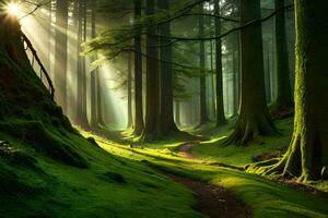 un' sentiero attraverso un' verde foresta con alberi e raggi di sole. ai-generato foto