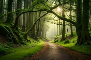 un' sentiero attraverso un' verde foresta con alberi e sole. ai-generato foto