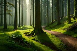 un' sentiero attraverso un' foresta con alberi e erba. ai-generato foto