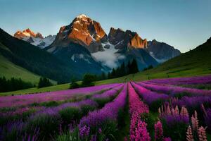 il lavanda campo nel il montagne. ai-generato foto