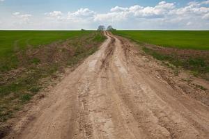 strada di campagna sterrata foto