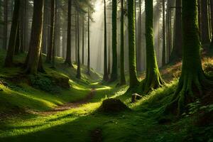 un' sentiero attraverso un' foresta con alberi e erba. ai-generato foto