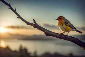 un' uccello si siede su un' ramo nel davanti di il sole. ai-generato foto