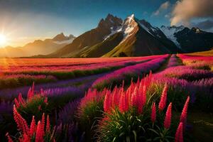 il sole brilla al di sopra di un' campo di viola fiori e montagne. ai-generato foto