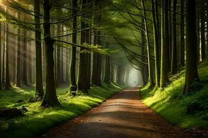 un' sentiero attraverso un' foresta con alberi e raggi di sole. ai-generato foto