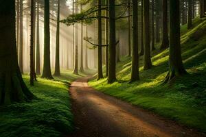 un' sentiero attraverso un' foresta con raggi di sole splendente attraverso il alberi. ai-generato foto