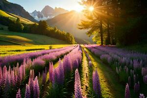 il sole brilla su un' campo di lupino fiori nel il montagne. ai-generato foto