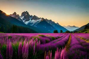 il lavanda campo nel il montagne. ai-generato foto