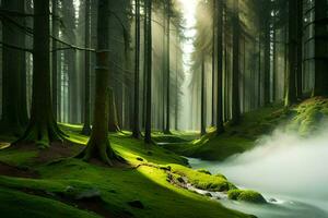 un' ruscello corre attraverso un' foresta con alberi e muschio. ai-generato foto