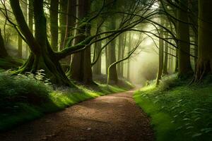 un' sentiero attraverso un' foresta con alberi e erba. ai-generato foto