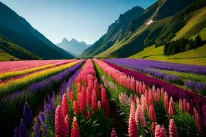 un' campo di viola e rosa fiori nel il montagne. ai-generato foto