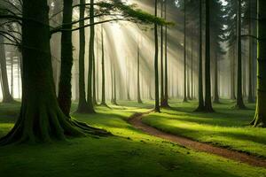 un' sentiero attraverso un' foresta con alberi e raggi di sole. ai-generato foto