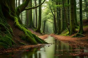 un' ruscello corre attraverso un' foresta con alberi e muschio. ai-generato foto