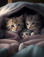 un' gruppo di adorabile gattini coccolato su insieme nel un' accogliente coperta forte ai generativo foto