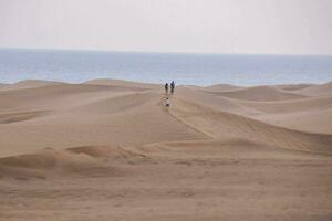 Due persone a piedi su il sabbia dune vicino il oceano foto