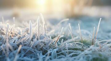 congelato verde erba, erba coperto con brina nel inverno. generativo ai foto