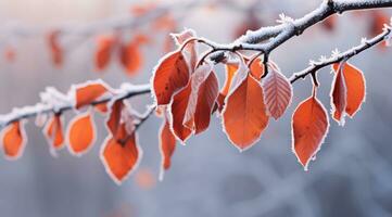 gelido autunno le foglie su ramo. generativo ai foto