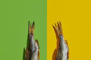Due secco o convulso salato taranka code, appetibile clipfish isolato su giallo e verde sfondo. popolare birra aperitivo. vicino su foto