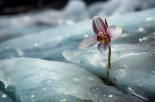 orchidea in crescita ghiaccio terra. creare ai foto