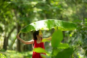 poco asiatico ragazza nel rosso vestito Tenere pesca attrezzatura nel il foresta, rurale Tailandia vivente vita concetto foto