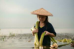 un' poco ragazza assiste sua più vecchio sorella nel raccolta loto fiori. rurale Tailandia dimora concetto foto